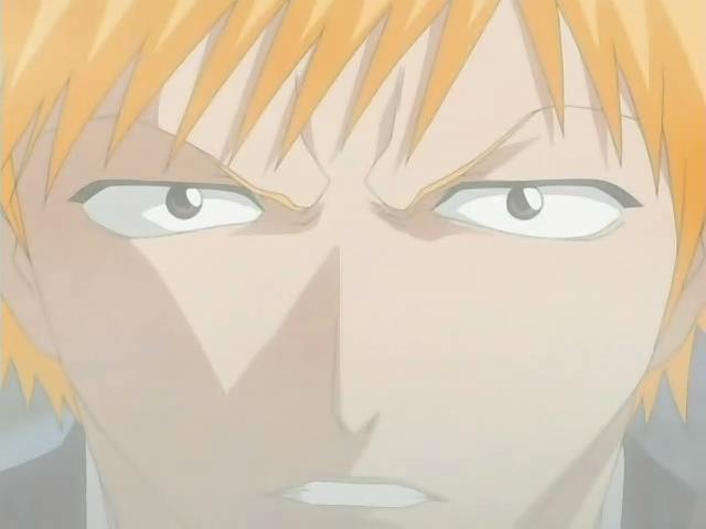 Otaku Gallery  / Anime e Manga / Bleach / Screen Shots / Episodi / 030 - L ostacolo Renji / 115.jpg